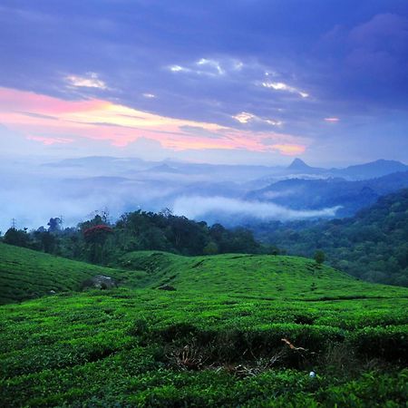 Hotel Violet Woods Munnar Esterno foto